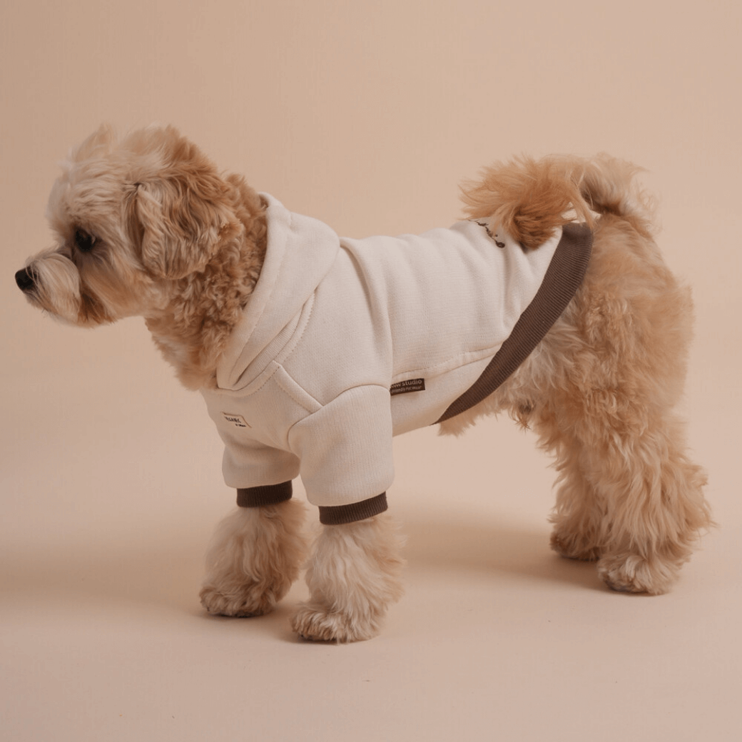 ORGANIC HOODIE (Ivory)