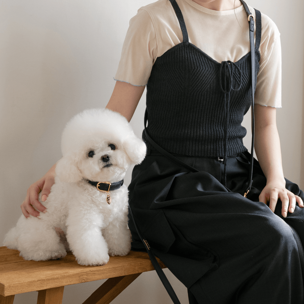 DELIGHT COLLAR（ブラック）