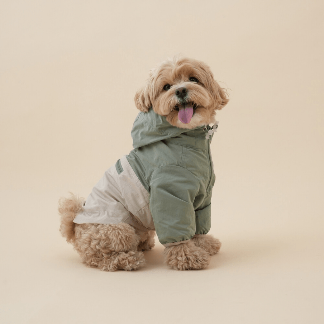 Eco Anorak (2color)