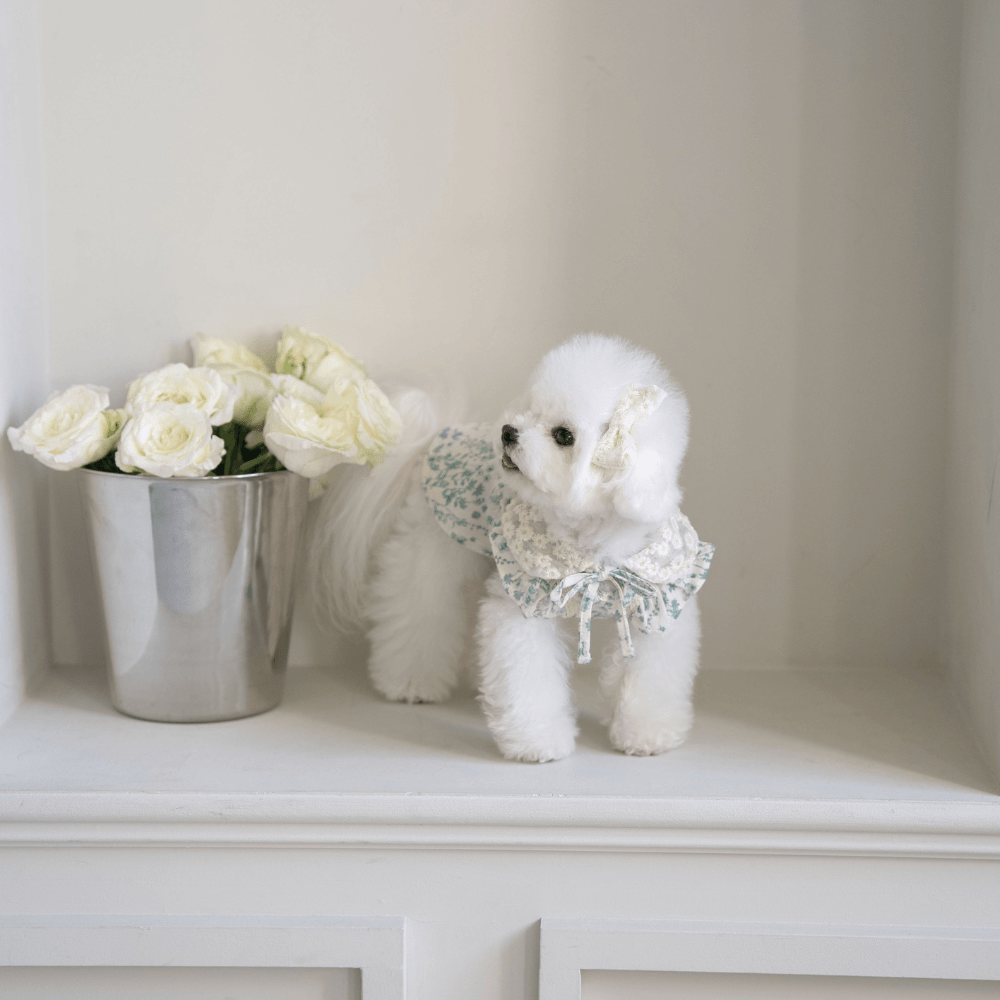 New Greenery Dress（Green）