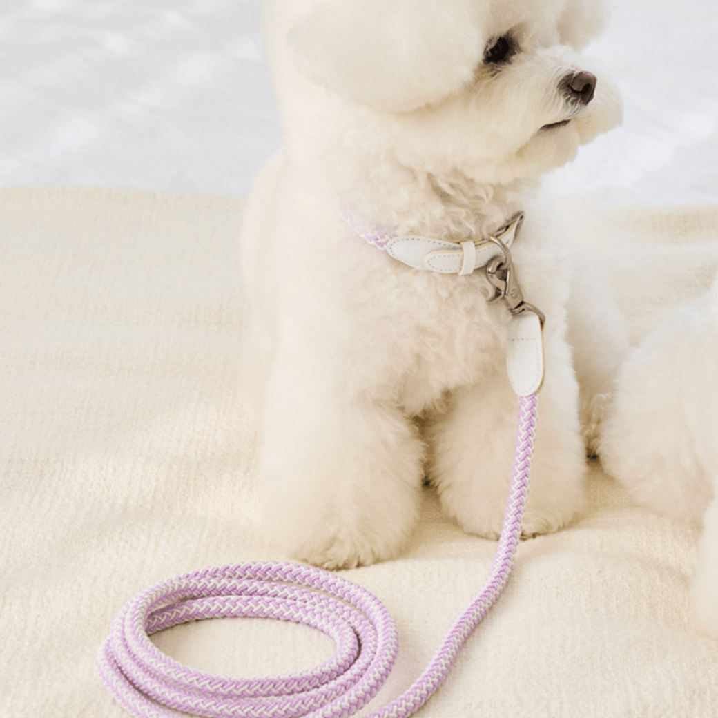 Stroll Rope Collar & Leash New Lilac