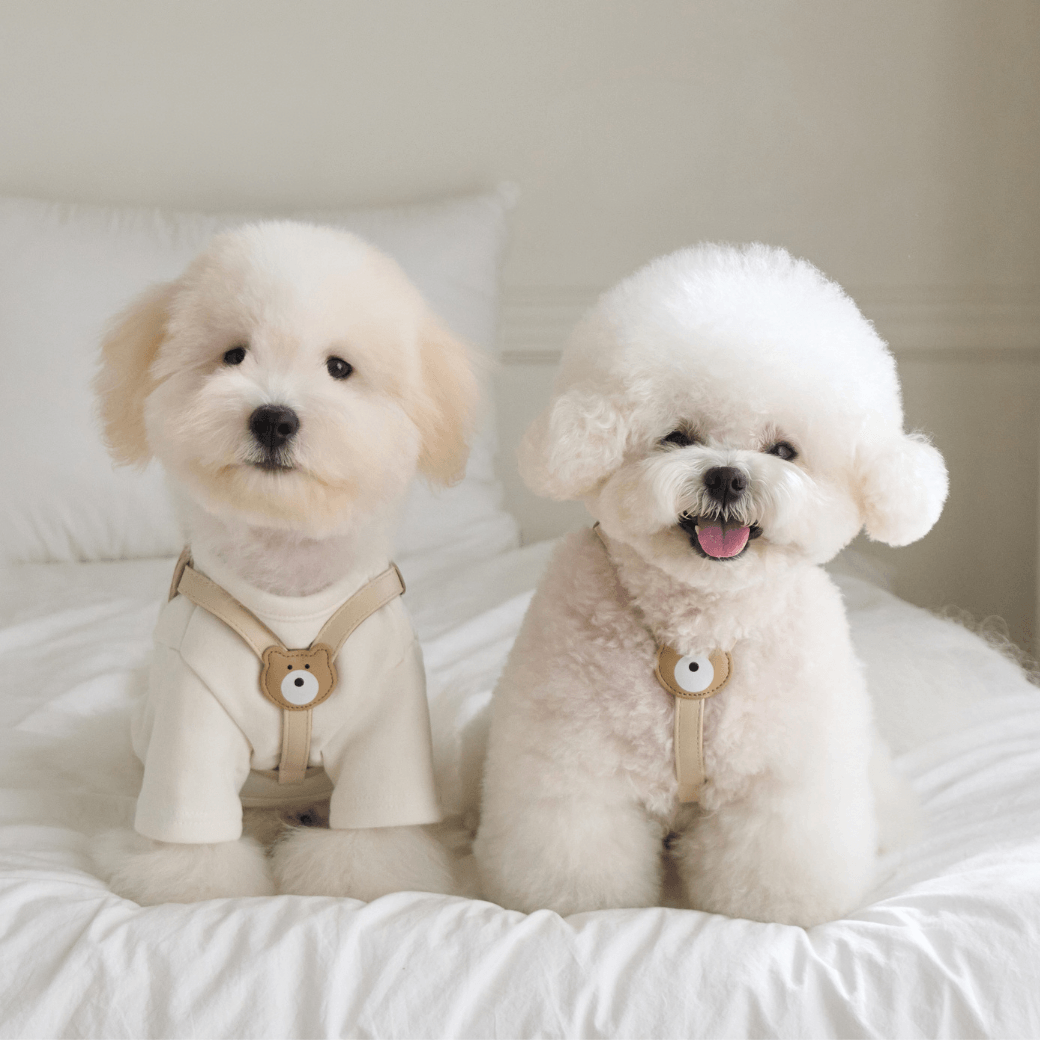 BEAR HARNESS（Ivory）