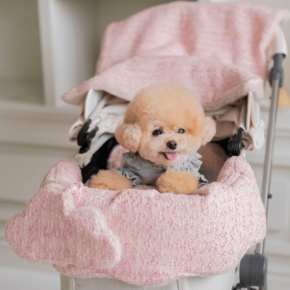 【予約】Couture Buggy Guard