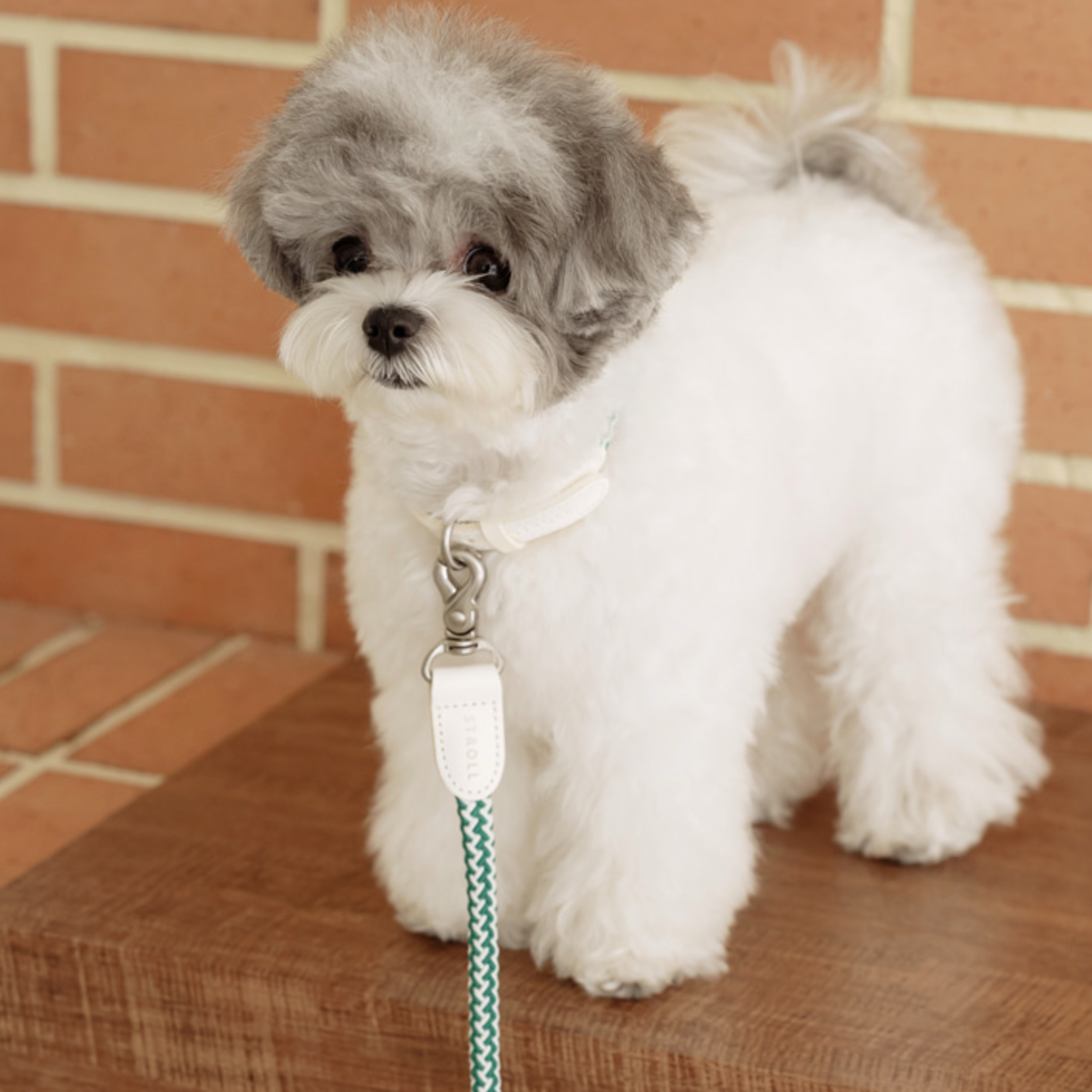 Rope Leash 1.8m 手持ちリード（フォレストグリーン）