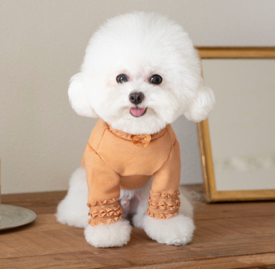 Lace Long Sleeve Turtleneck（Orange）