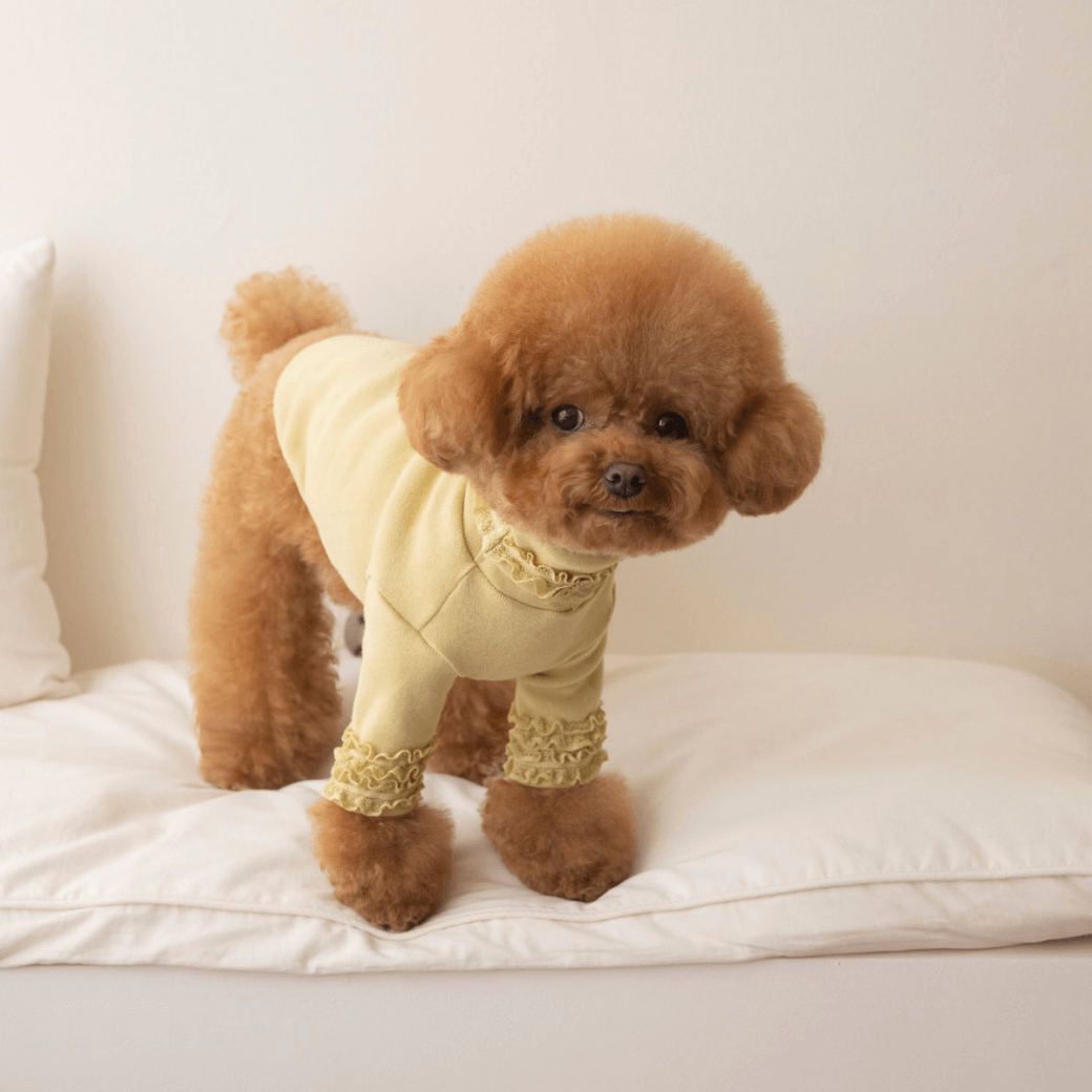 Lace Long Sleeve Turtleneck（Mustard）