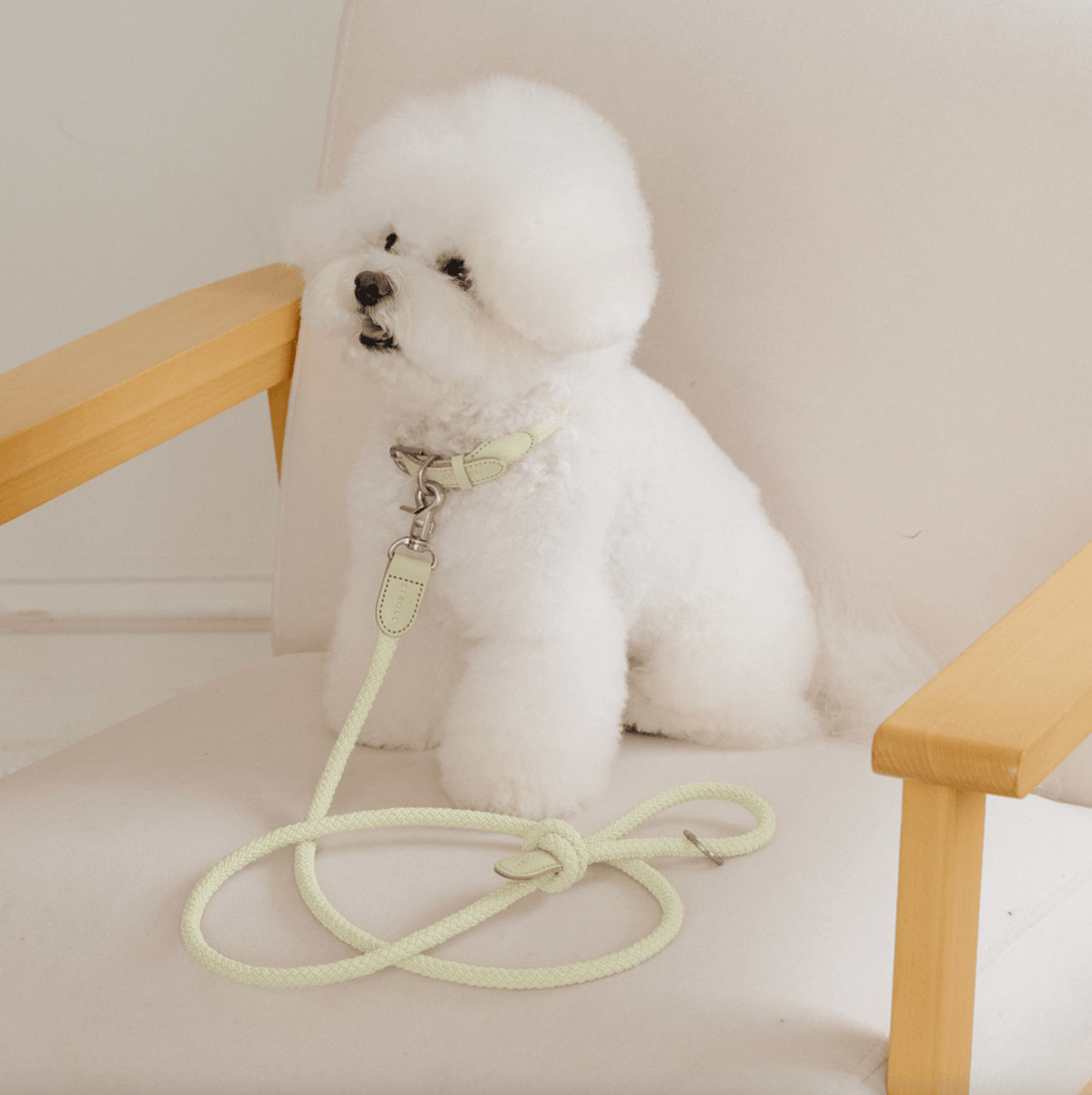 Stroll Rope Collar&Leash Pistachio ロープ首輪&リード