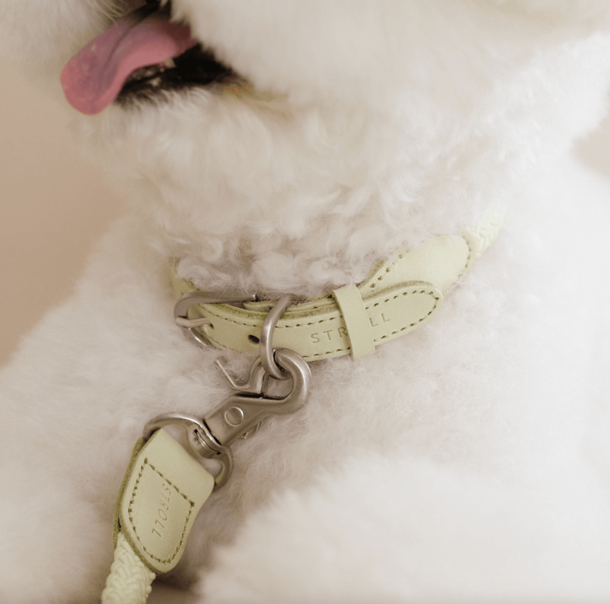 Stroll Rope Collar&Leash Pistachio ロープ首輪&リード