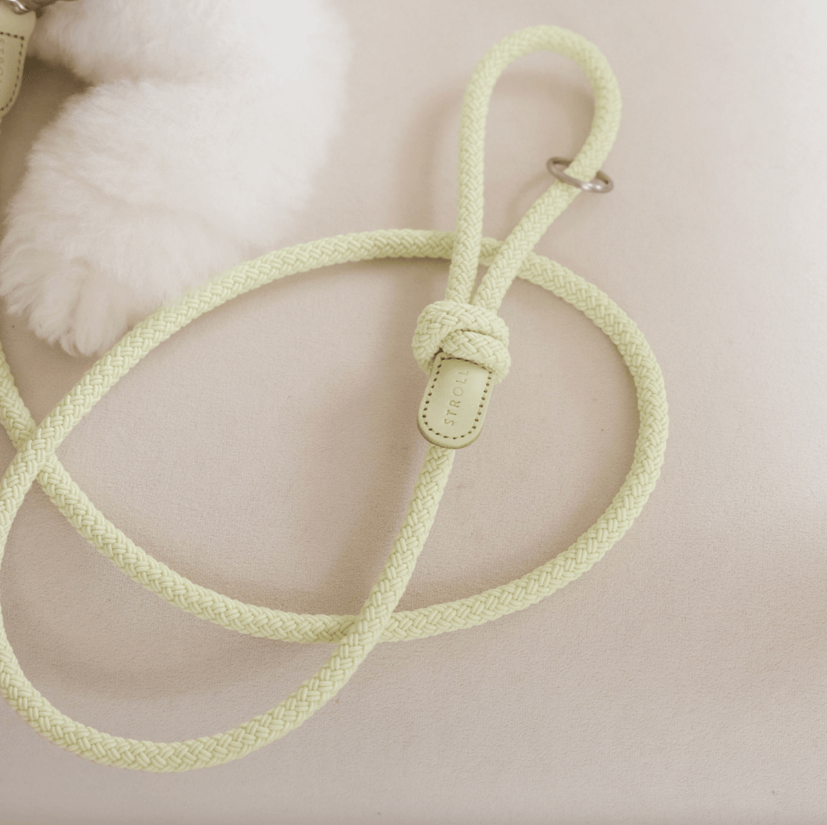 Stroll Rope Collar&Leash Pistachio ロープ首輪&リード