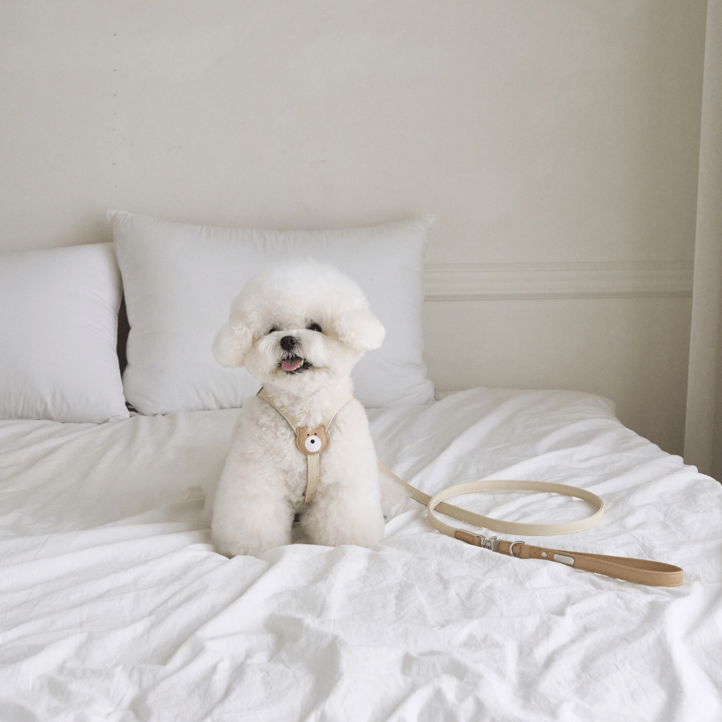 BEAR HARNESS（Ivory）