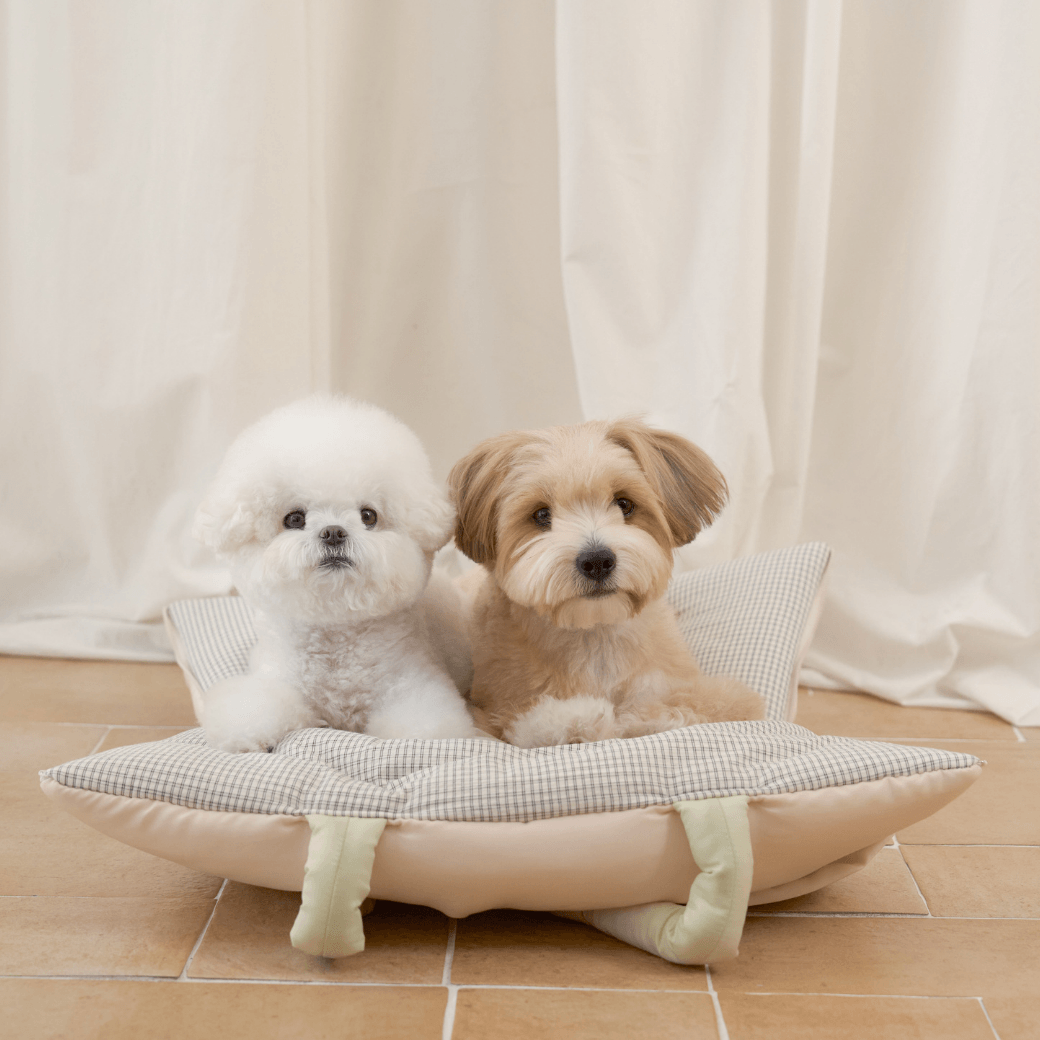 wide bag - green & pink（APERTY）4/10（金）21:00〜予約販売開始