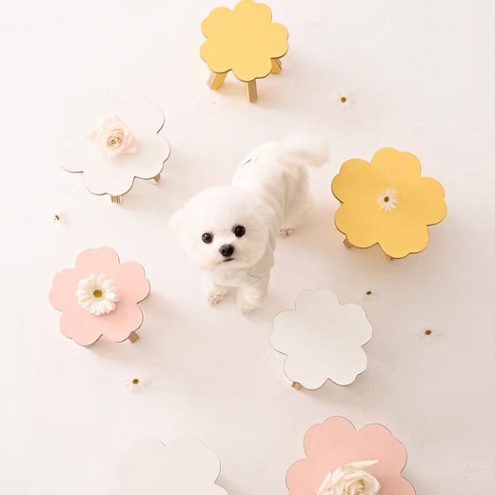 【予約】flower table (3color)