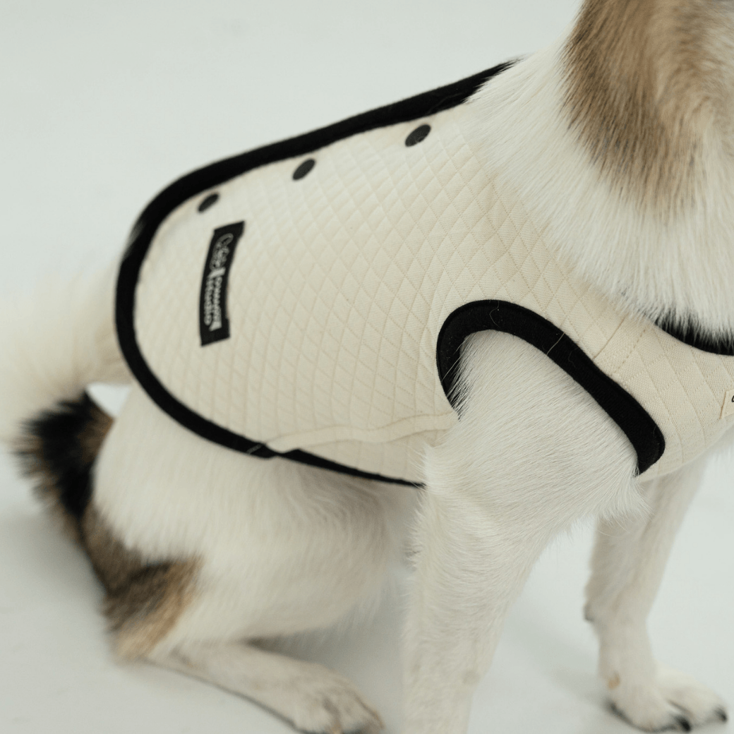 【予約】ORGANIC QUILTED VEST – OWWW x VERVVE edition（ネーム刺繍可）