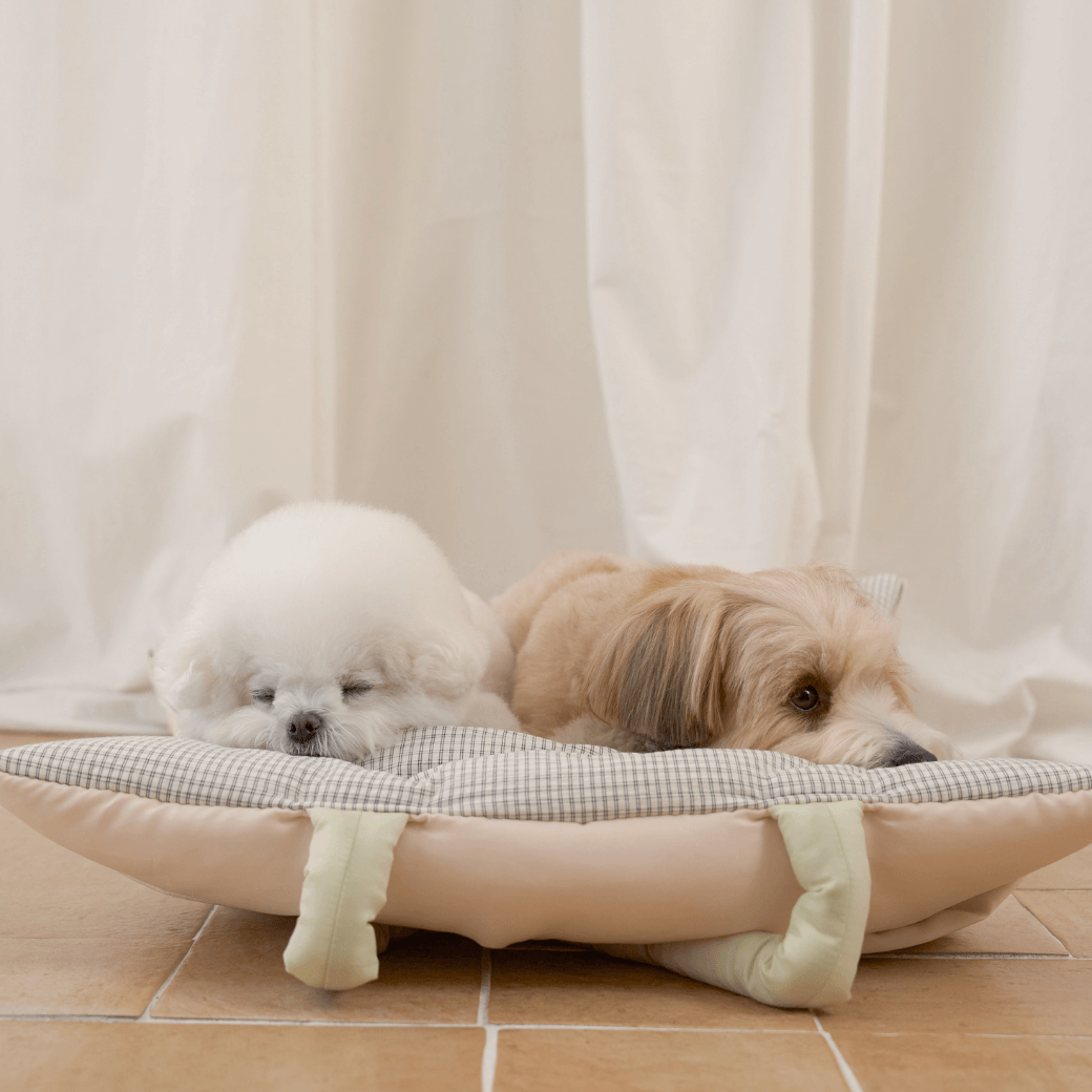 wide bag - green & pink（APERTY）4/10（金）21:00〜予約販売開始