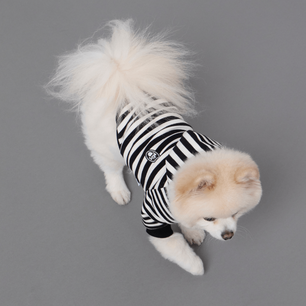 SCHOOL STRIPED HOODIE