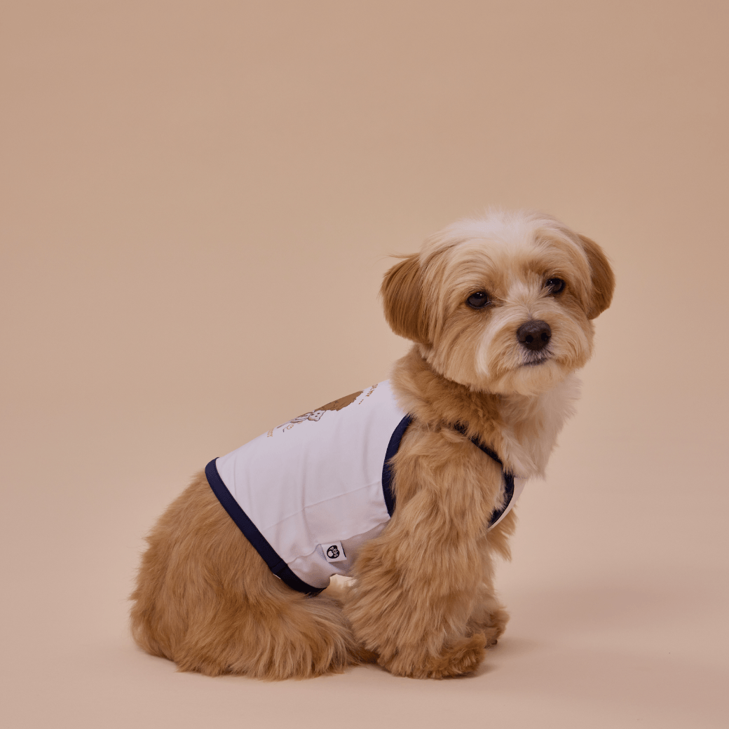 【8/3〜配送】BEST BUDDY COOL TEE（NAVY）