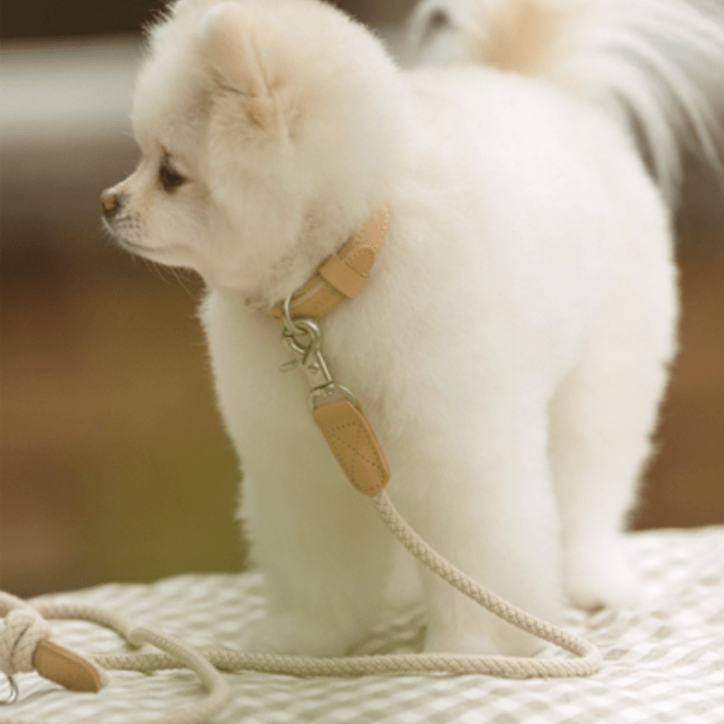 Rope Leash (Beige)