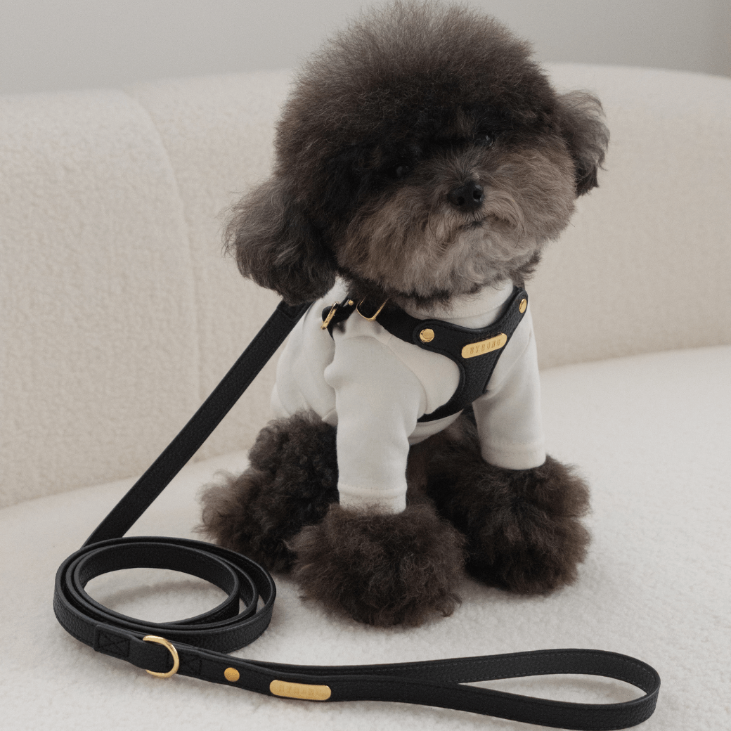 DELIGHT HARNESS バックルver（ブラック）