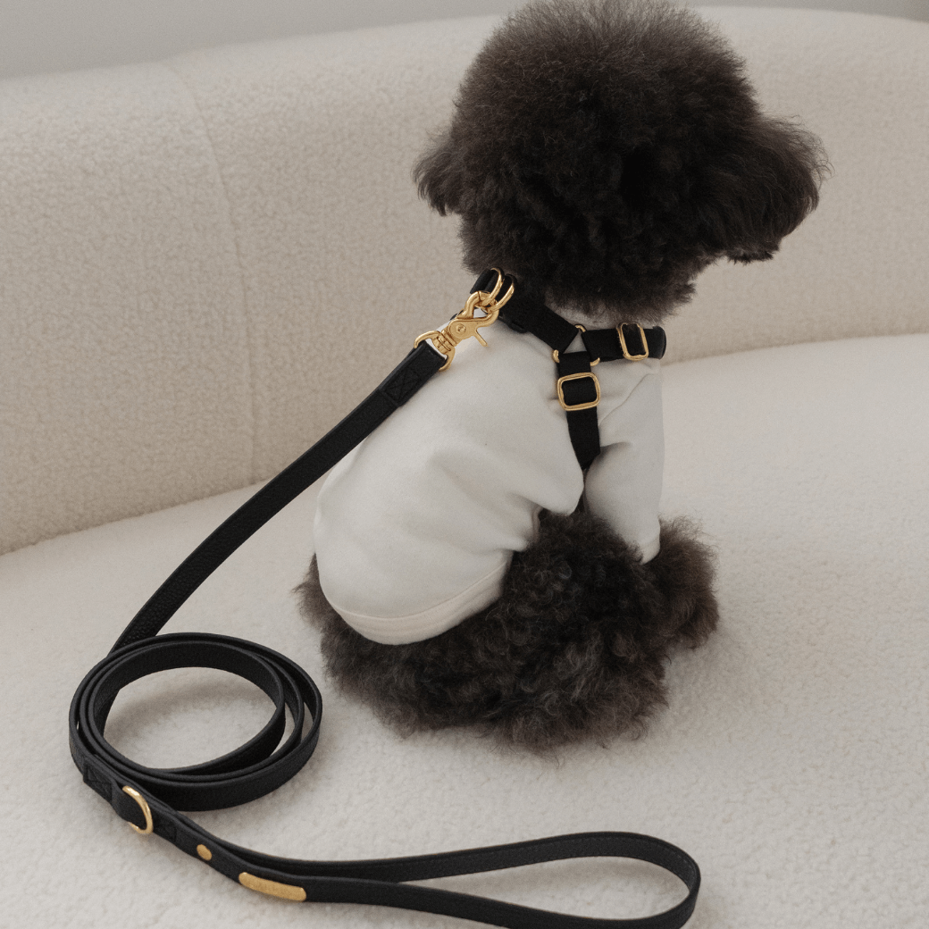 DELIGHT HARNESS バックルver（ブラック）