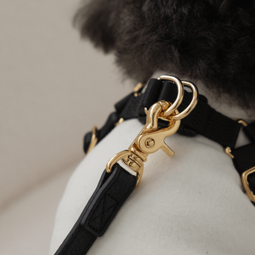 BYBONG ハーネス リード セット ブラック XS① BYBONG DELIGHT HARNESS BYBONG ハーネス リード セット ブラック XS① BYBONG DELIGHT HARNESS