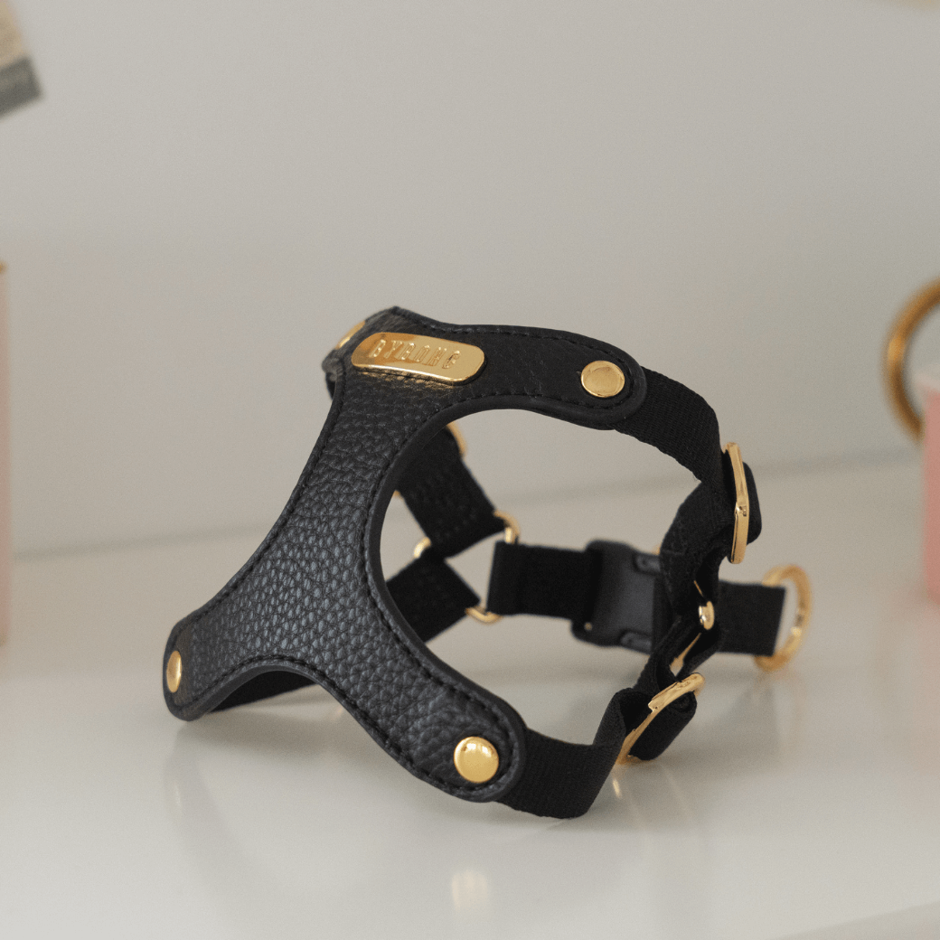 DELIGHT HARNESS バックルver（ブラック）