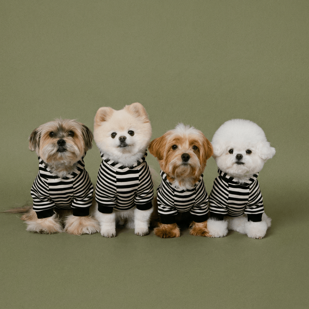 SCHOOL STRIPED HOODIE