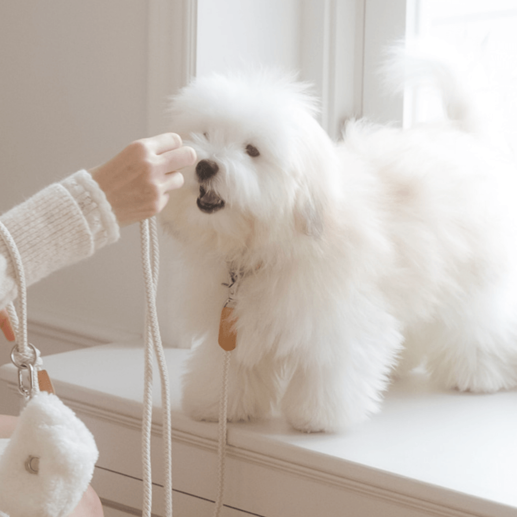 Rope Leash (Oatmeal)