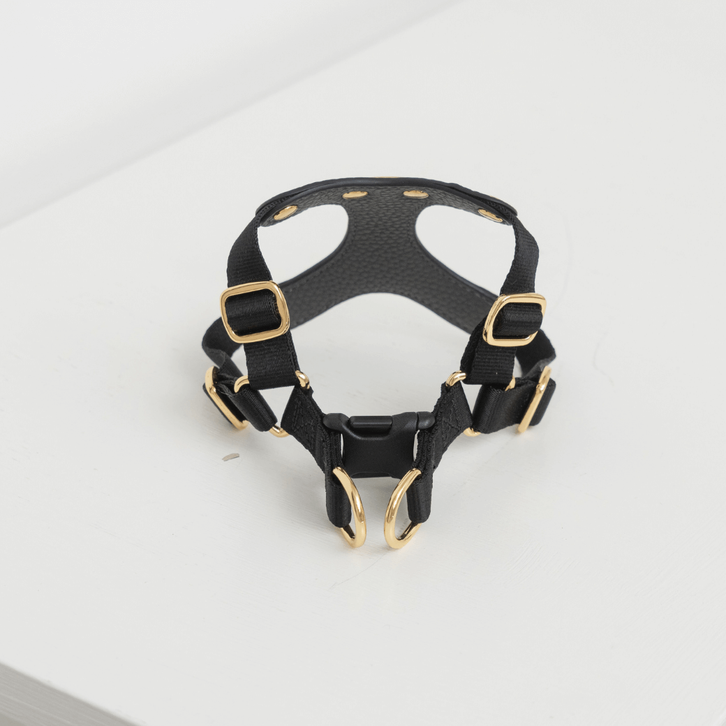 DELIGHT HARNESS バックルver（ブラック）