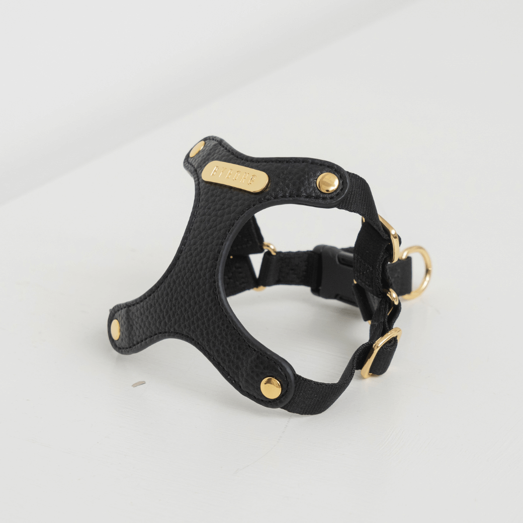 DELIGHT HARNESS バックルver（ブラック）