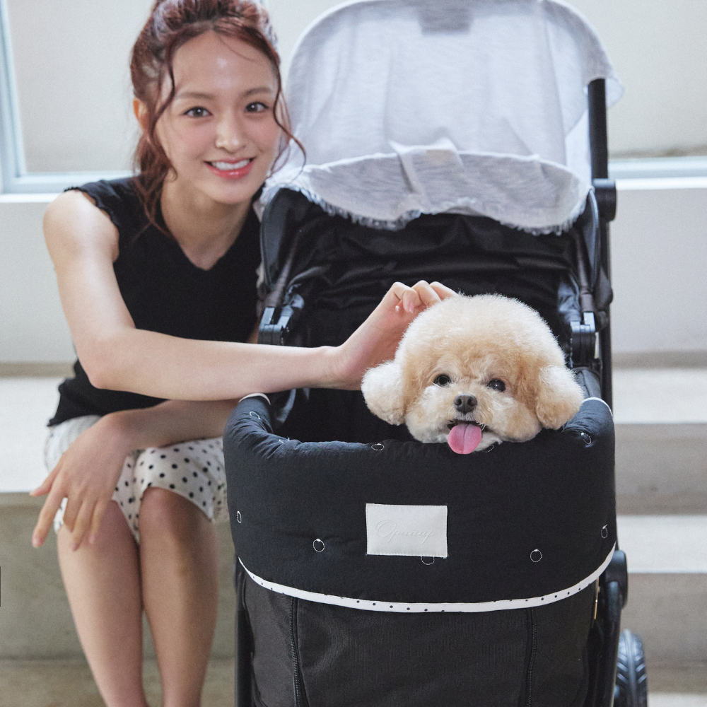 【予約】Solar Safe Buggy Puff (Black)
