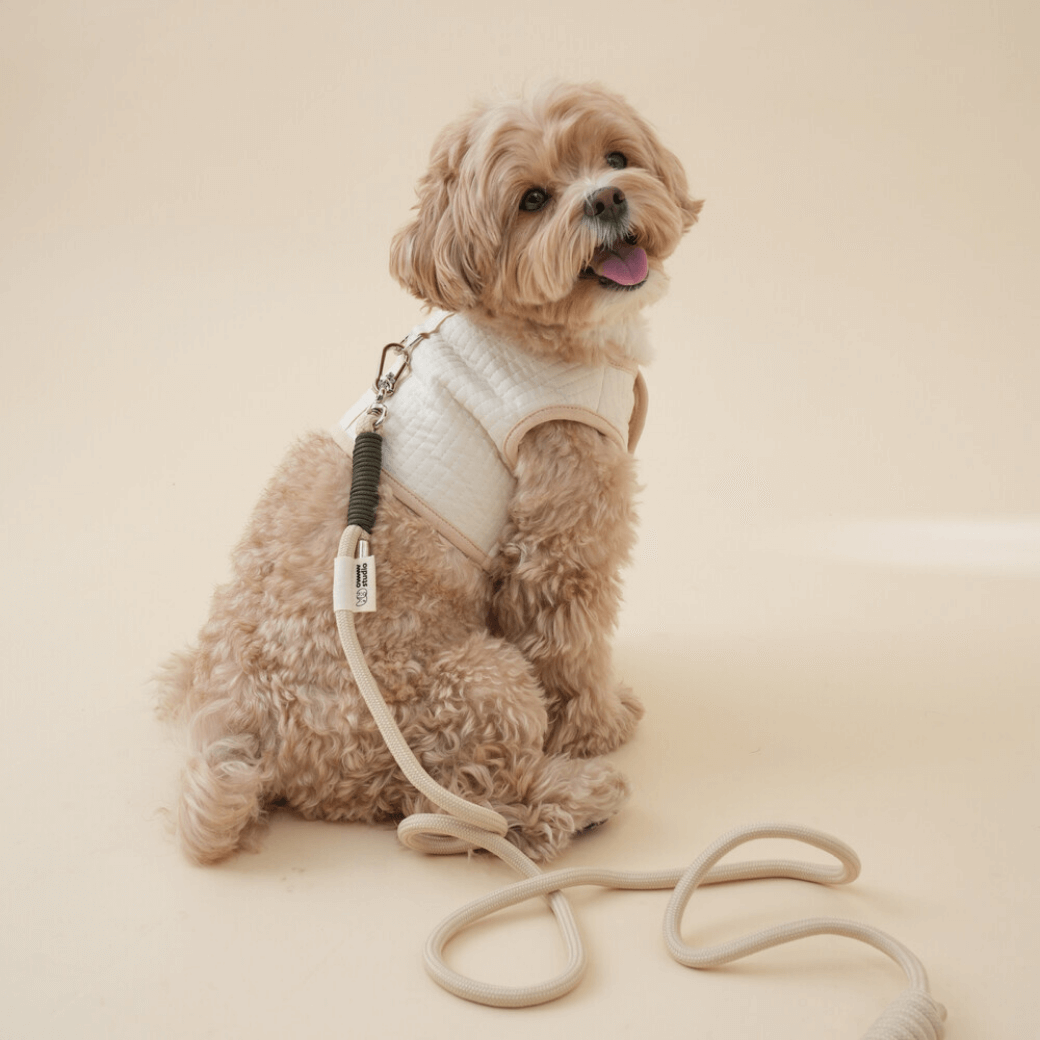 ORGANIC HARNESS（ネーム刺繍可）