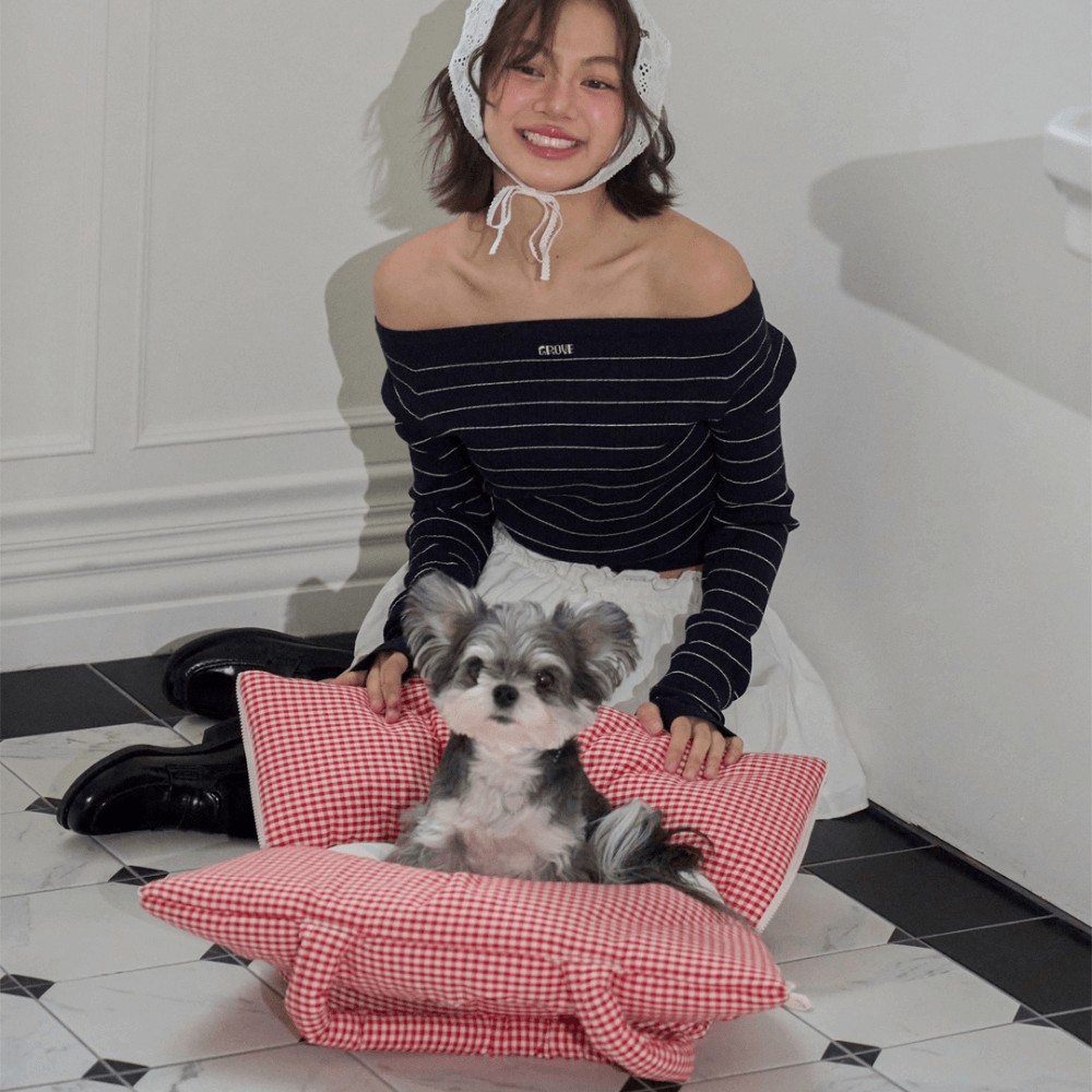 APERTY wide bag plaid red｜軽くて収納力のある2WAY犬用キャリーバッグ（ベッドにもなる）