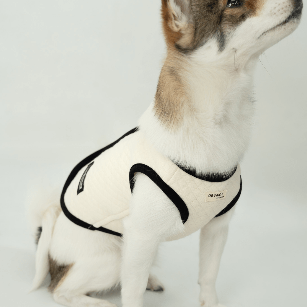 【予約】ORGANIC QUILTED VEST – OWWW x VERVVE edition（ネーム刺繍可）