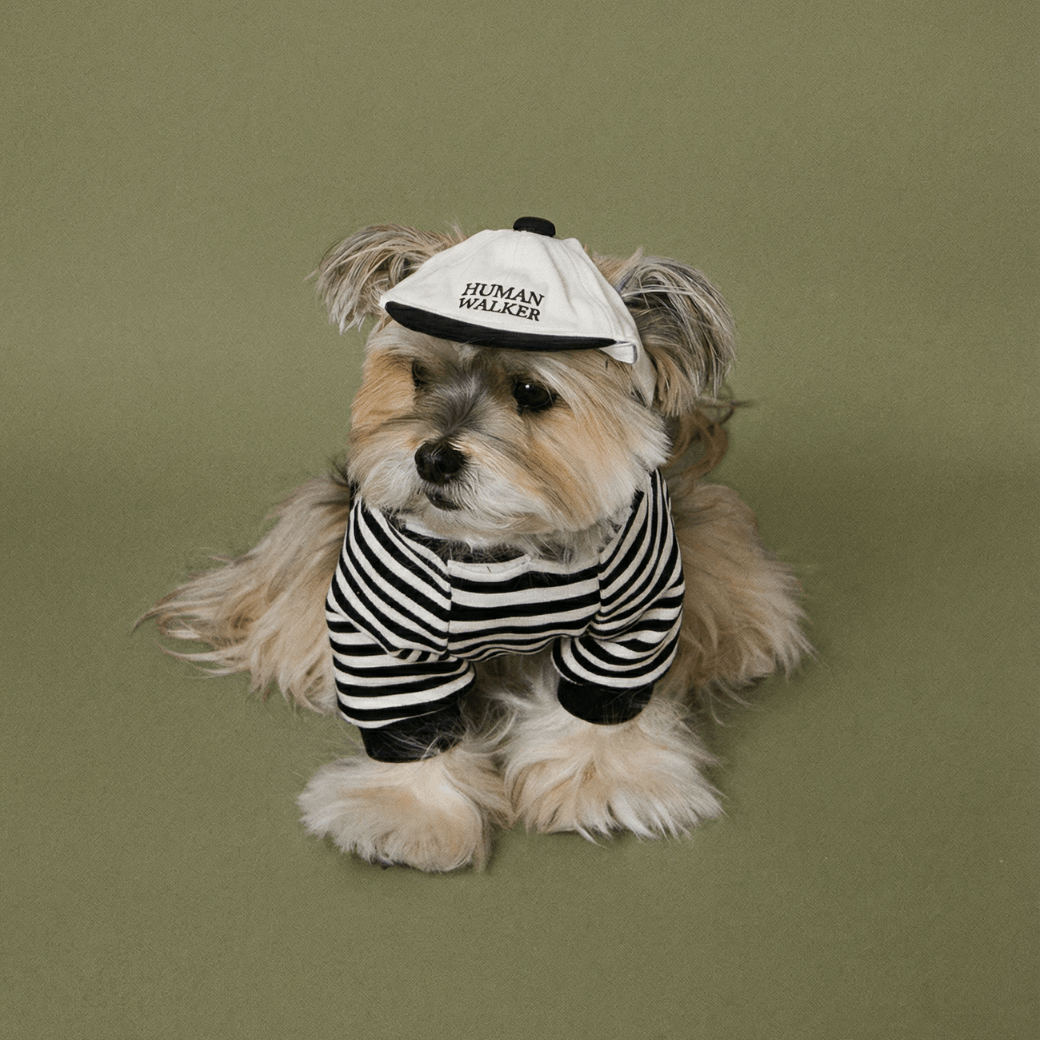 m*i様 【PERRO正規品】ヘッドスパ対応型 ☆オークションに変更☆ SCHOOL STRIPED HOODIE