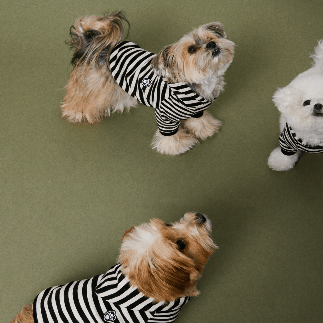 SCHOOL STRIPED HOODIE