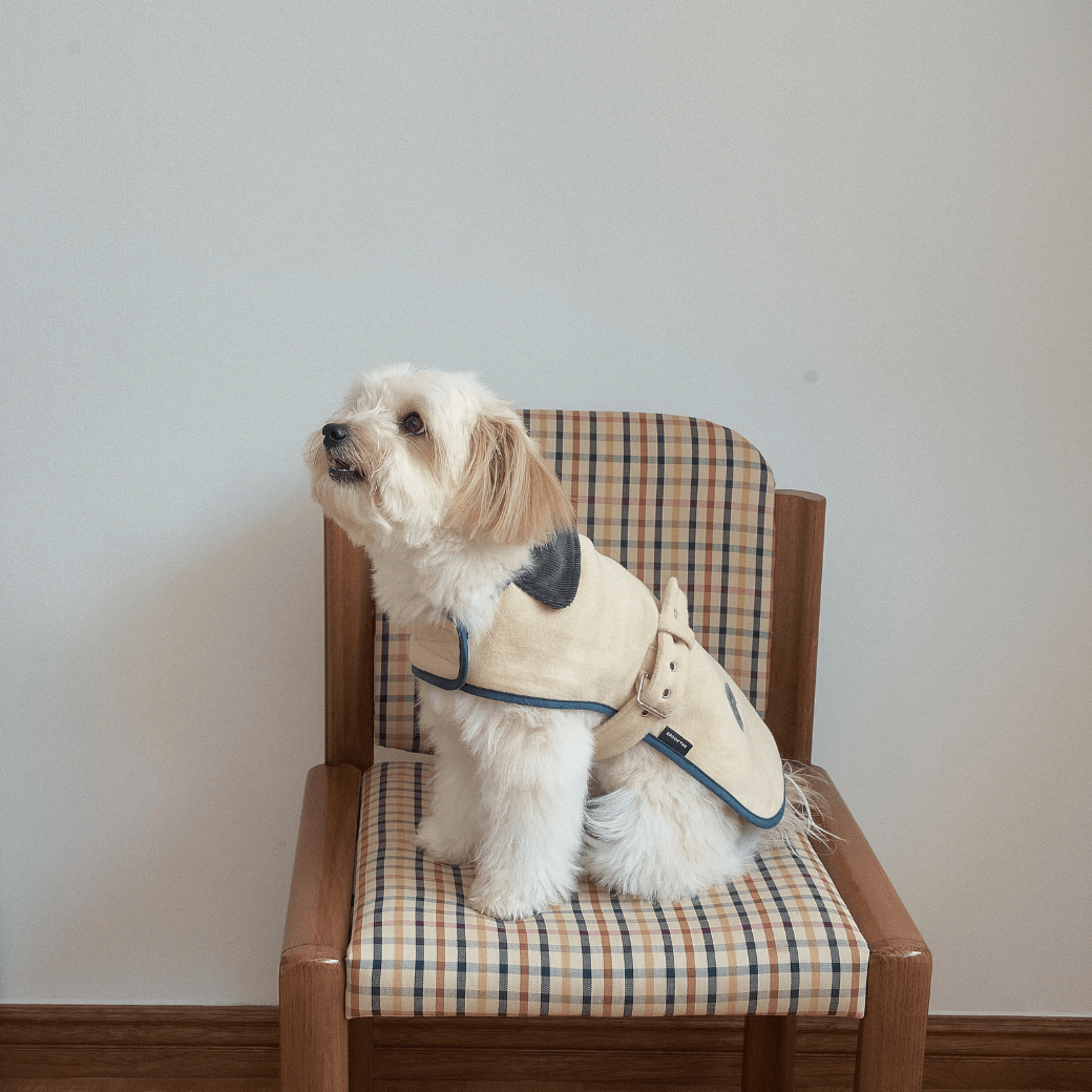 Signature wool 100 Classic Jacket (2color)