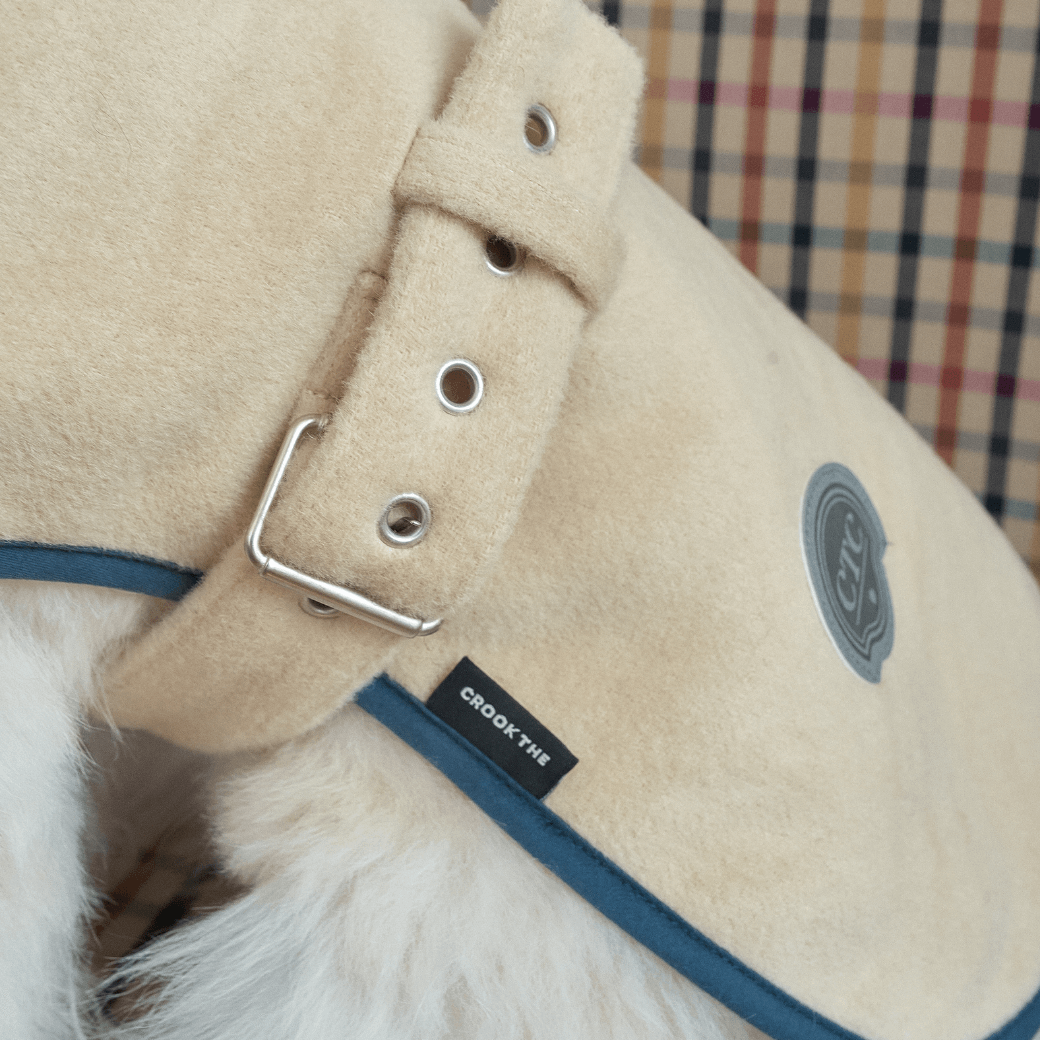 Signature wool 100 Classic Jacket (2color)