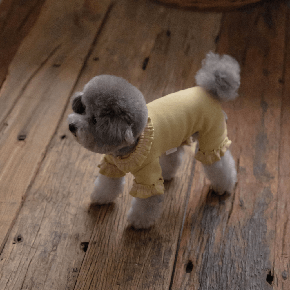 Plie Tu-Tu All in one（Mustard）