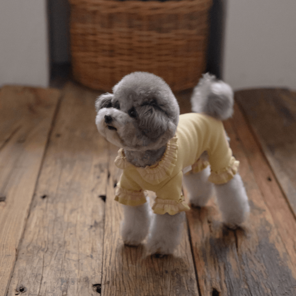 Plie Tu-Tu All in one（Mustard）