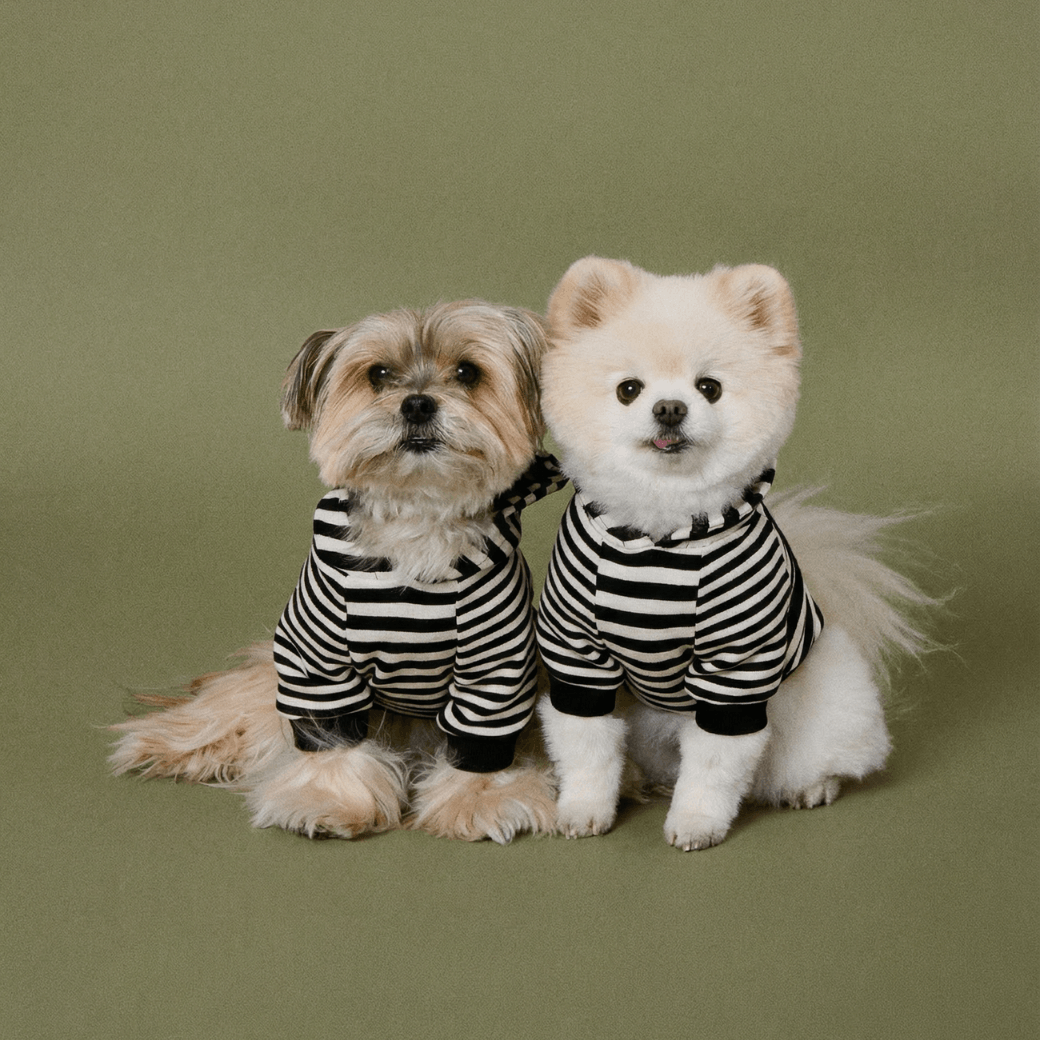 SCHOOL STRIPED HOODIE