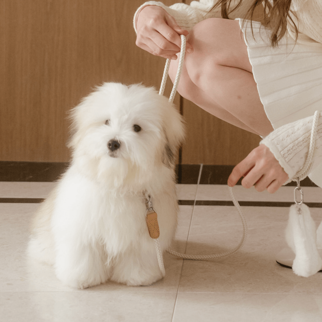 Rope Leash (Oatmeal)