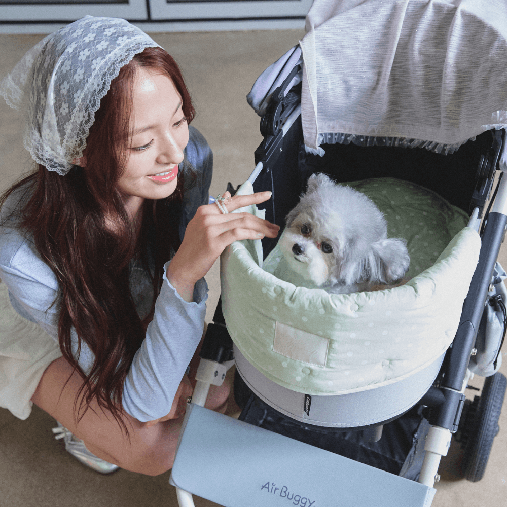 【予約】Buggy Puff (Mint)