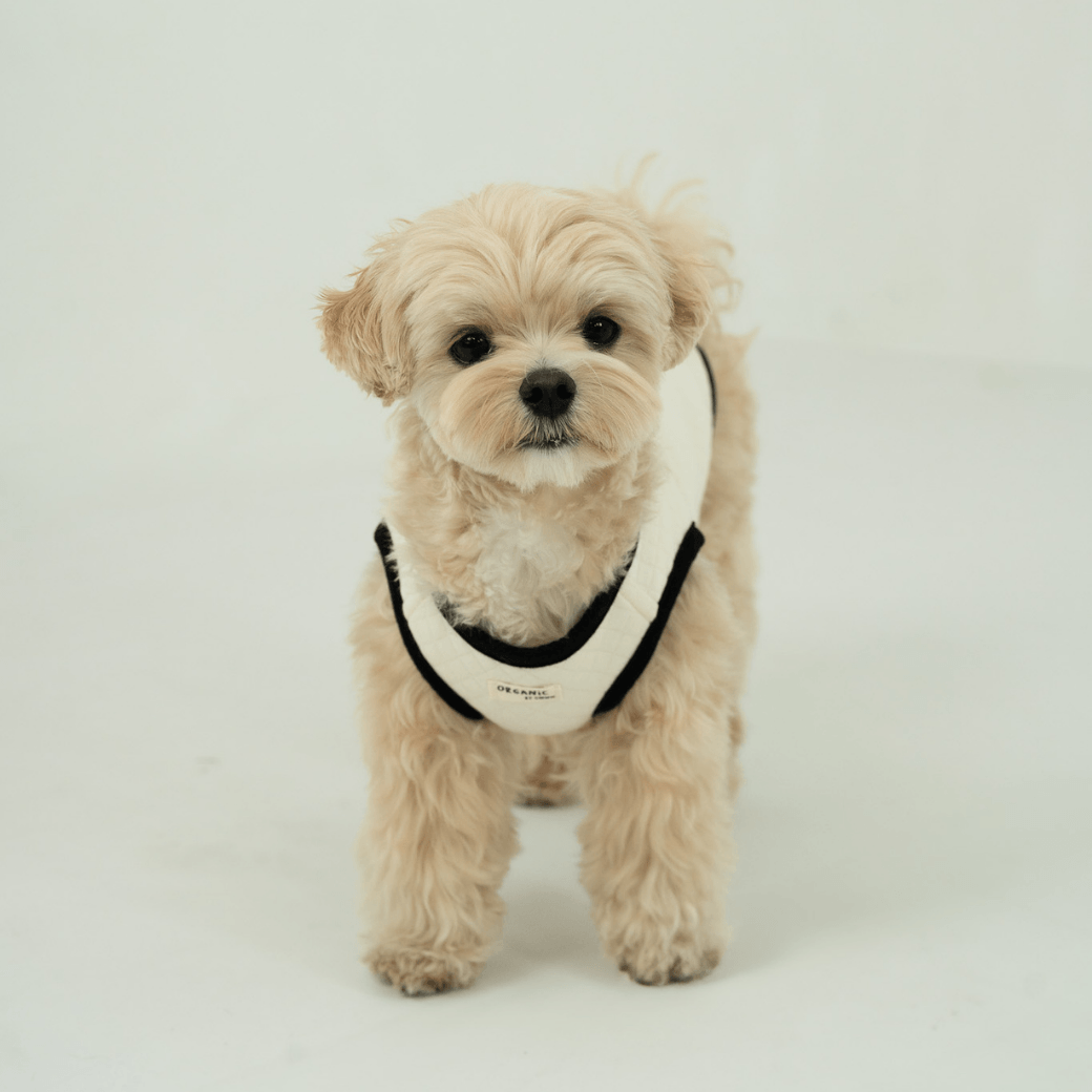 【予約】ORGANIC QUILTED VEST – OWWW x VERVVE edition（ネーム刺繍可）
