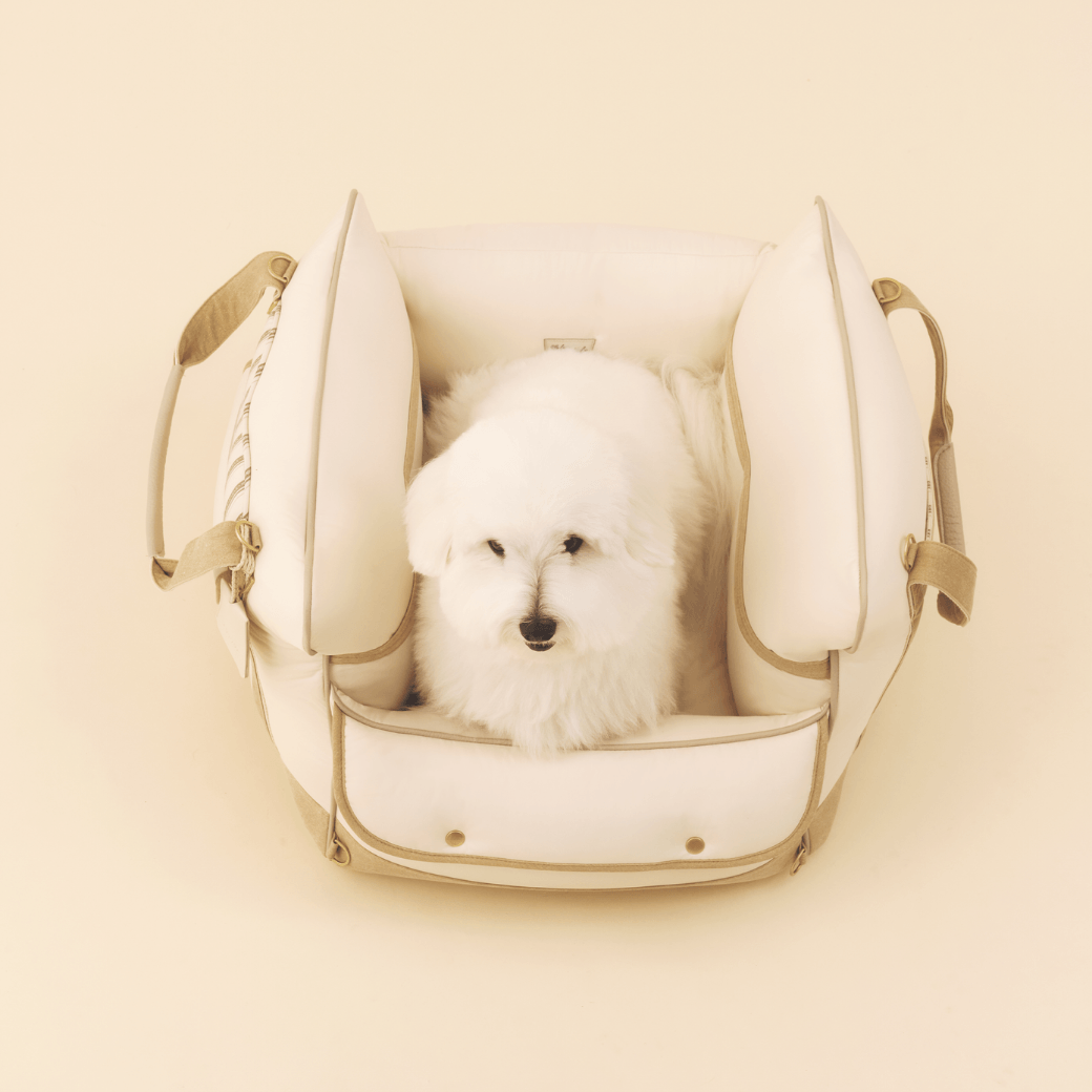 Cruise Car Seat (Beige)