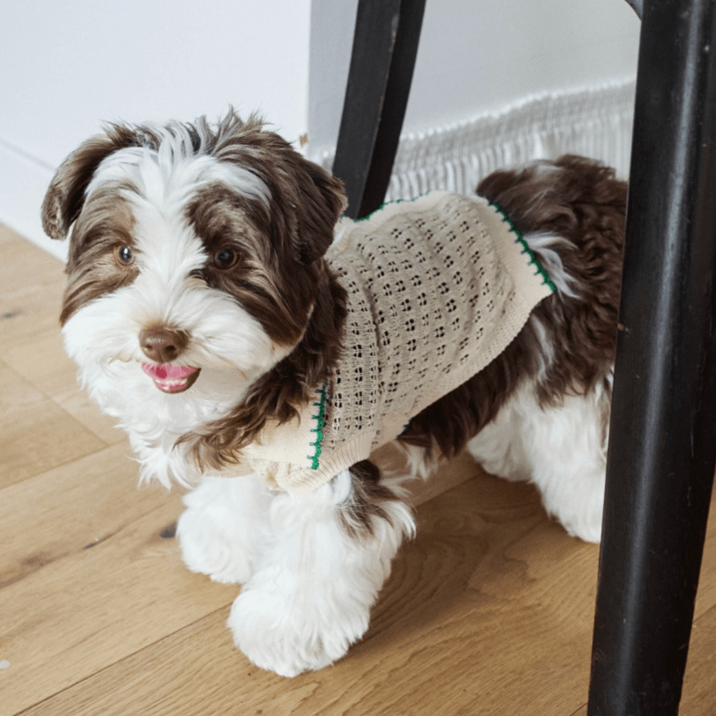 Cool Air Crochet Knit（3color）