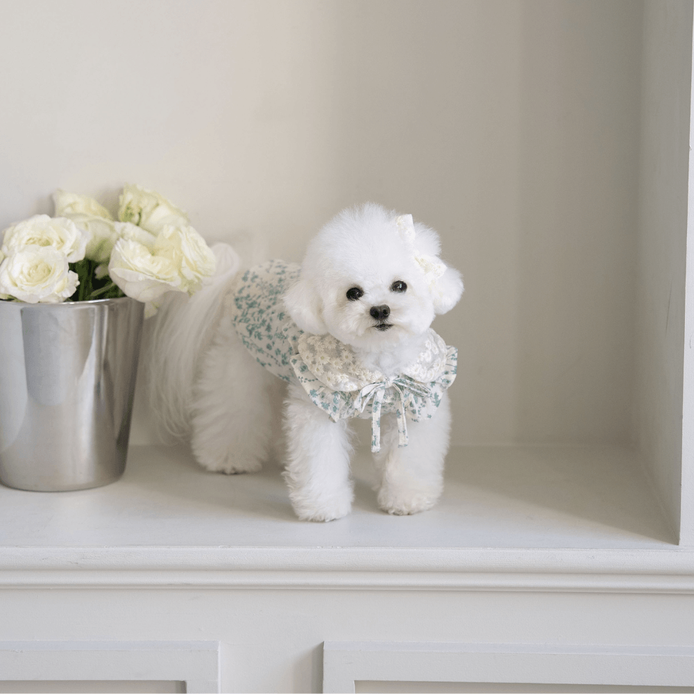 New Greenery Dress（Green）