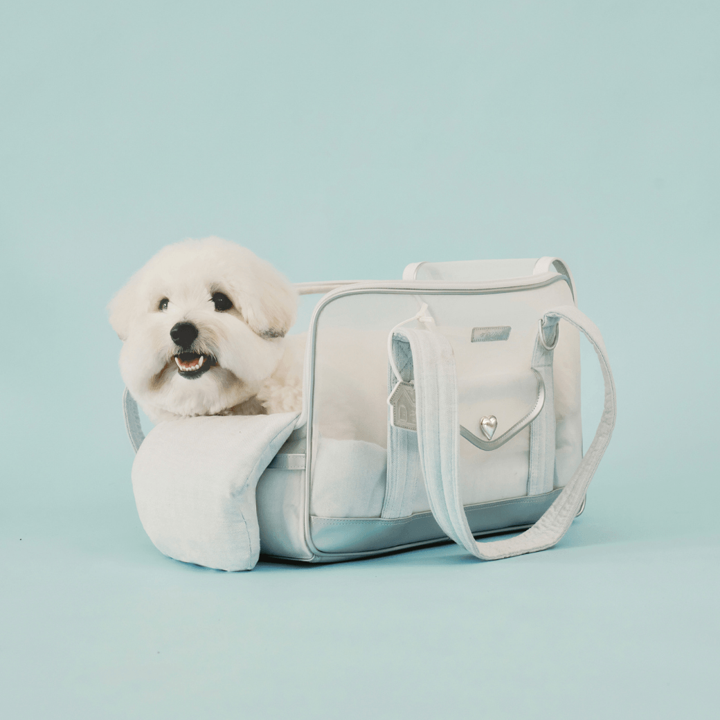Mesh Ballon Bag （Silver & Blue）