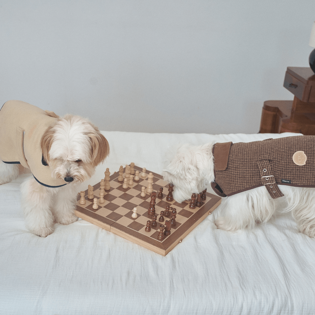 Signature wool 100 Classic Jacket (2color)