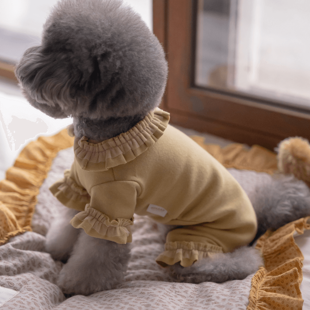 Plie Tu-Tu All in one（Mustard）