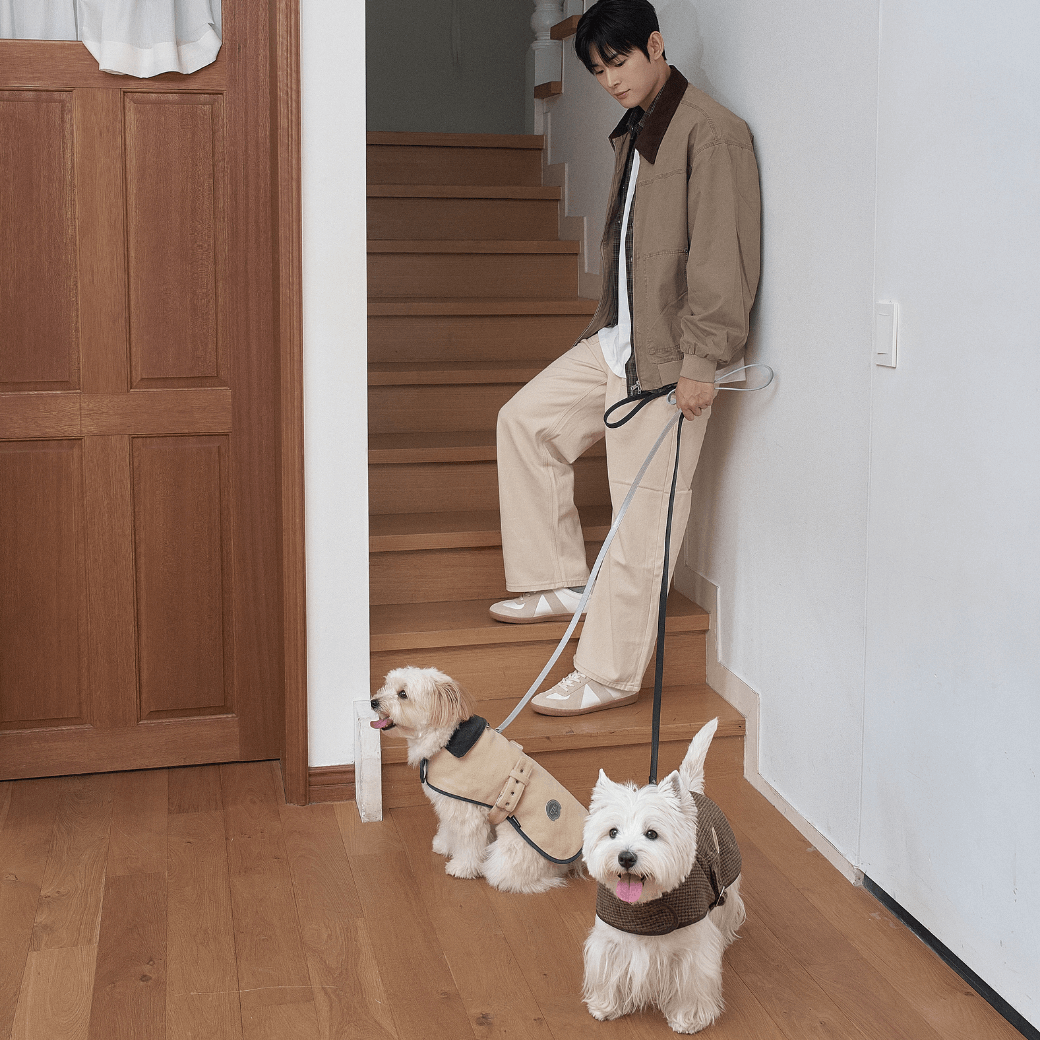 Signature wool 100 Classic Jacket (2color)